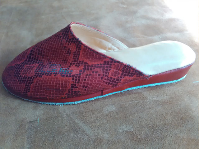 Zapatilla de Descanso Linea 24  (21)